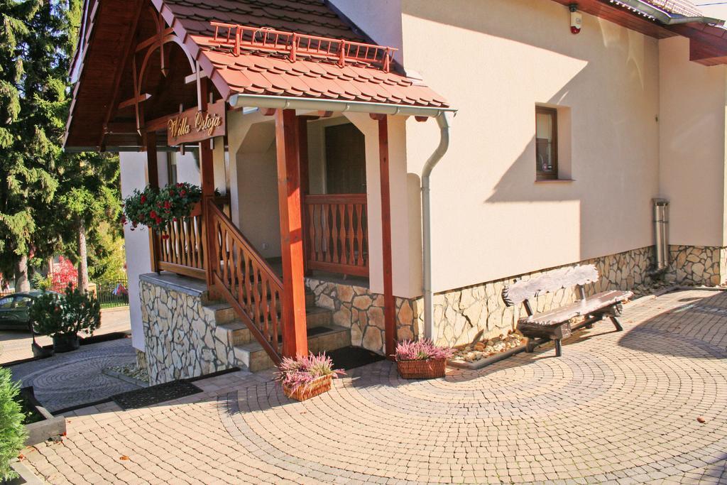 Willa Ostoja Świeradów-Zdrój Dış mekan fotoğraf